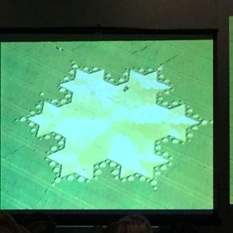 Slide portraying a fractal looking crop circle.