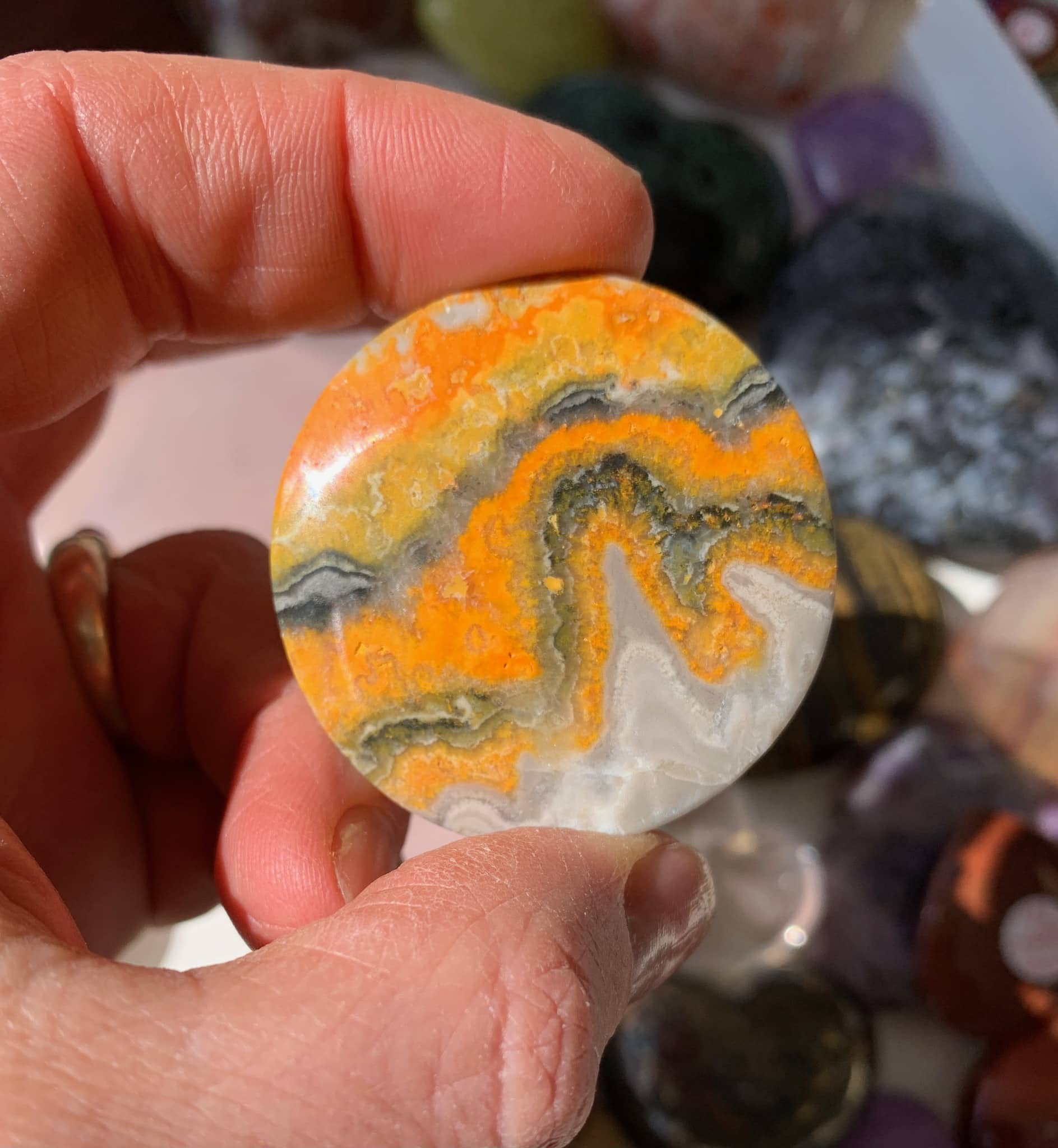 Bumble Bee Jasper Mountains Bumble Bee Jasper Mountains