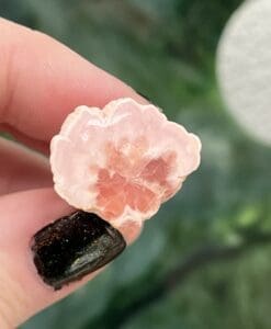 Rhodochrosite standing botryioidal 'stalactite' crystal healing crystal