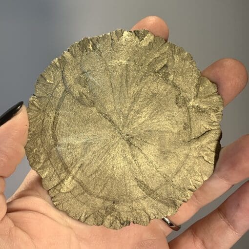 Pyrite 'sun' concretion healing crystal - Image 4
